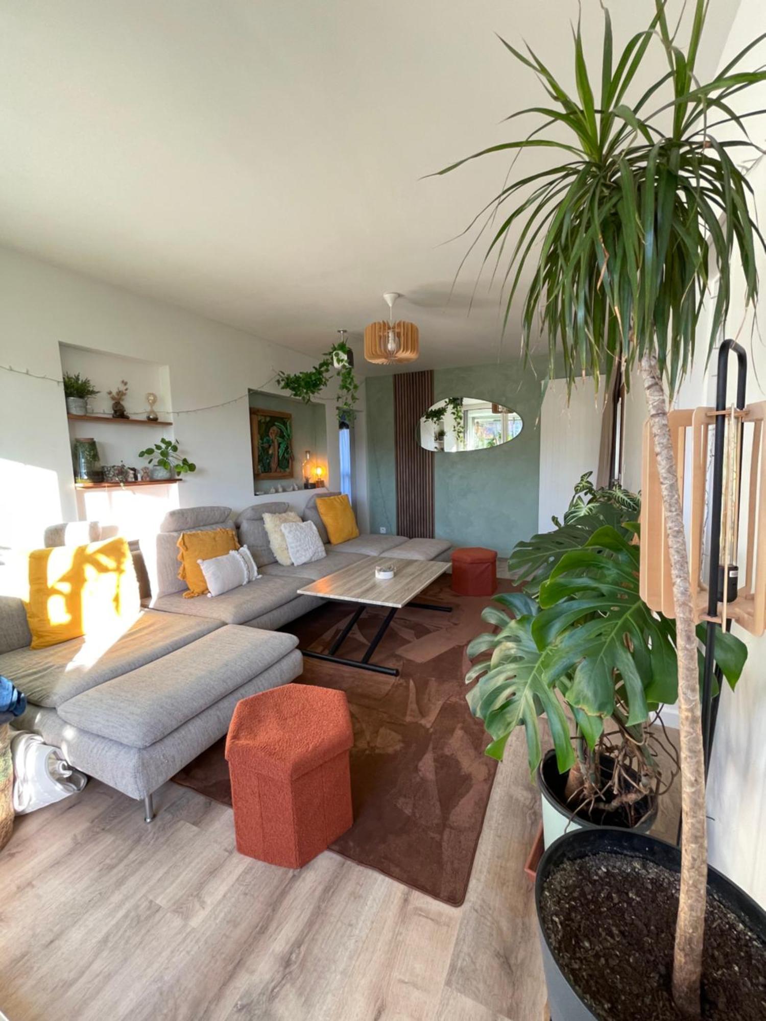 Appartement T3 - Foret & Plage Anglet Ngoại thất bức ảnh