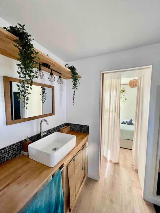 Appartement T3 - Foret & Plage Anglet Ngoại thất bức ảnh